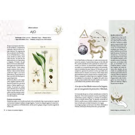 Libro PLANTAS CON PODERES MAGICOS-4