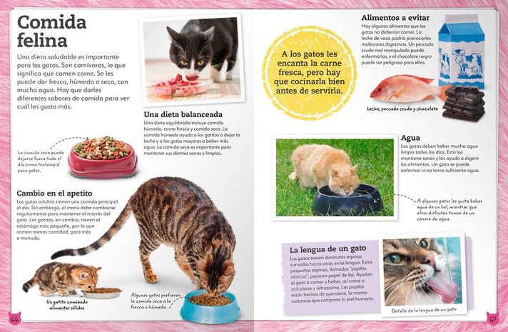 Libro Mi Libro de Gatos y Gatitos-2