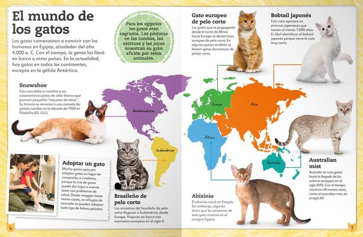 Libro Mi Libro de Gatos y Gatitos-5