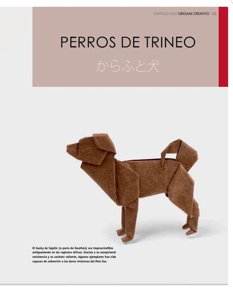 Libro El Arte Del Origami-3