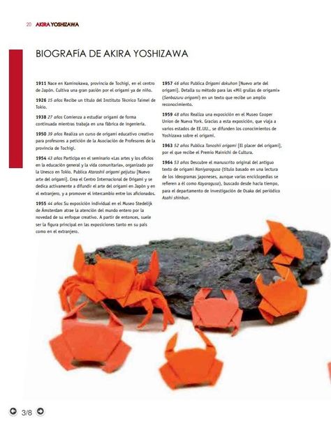 Libro El Arte Del Origami-4