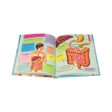 Libro 1001 PREGUNTAS Y RESPUESTAS SOBRE EL CUERPO HUMANO-1