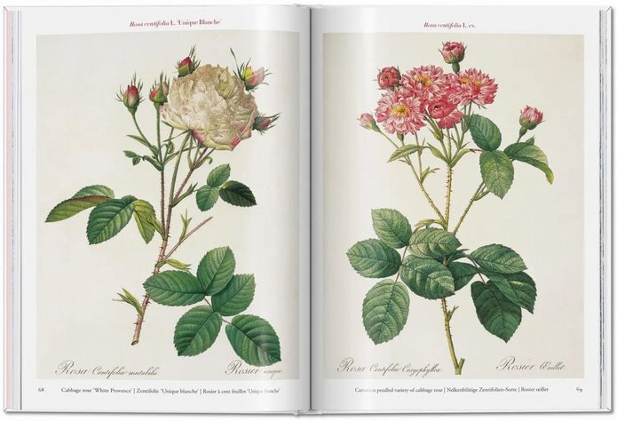 Libro Roses · Redouté · Pocket Book-2