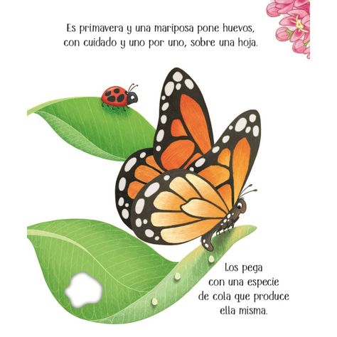 Libro CICLOS DE LA VIDA - UNA MARIPOSA-1