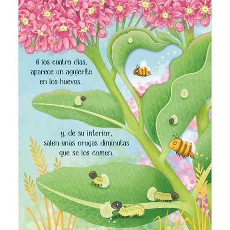 Libro CICLOS DE LA VIDA - UNA MARIPOSA-2
