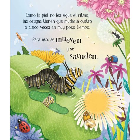 Libro CICLOS DE LA VIDA - UNA MARIPOSA-3
