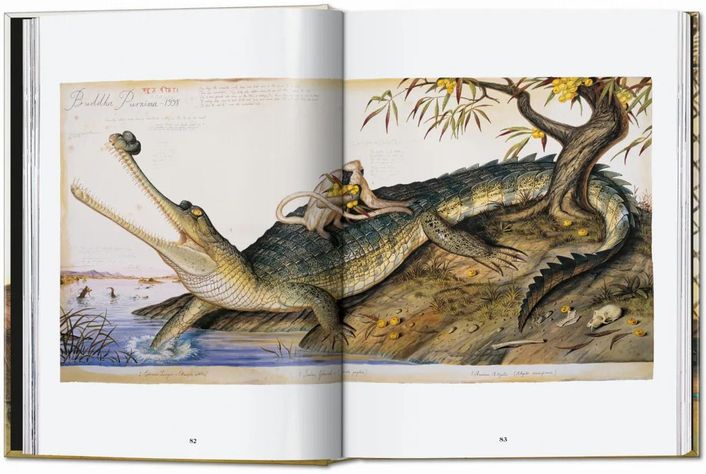 Libro Walton Ford. 40th Ed.-3