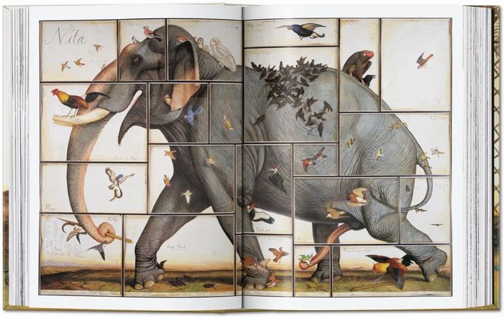 Libro Walton Ford. 40th Ed.-4