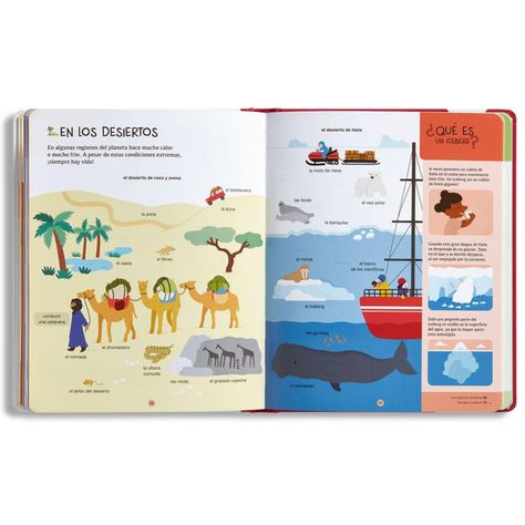 Libro biblioteca para mentes curiosas - LA TIERRA-2