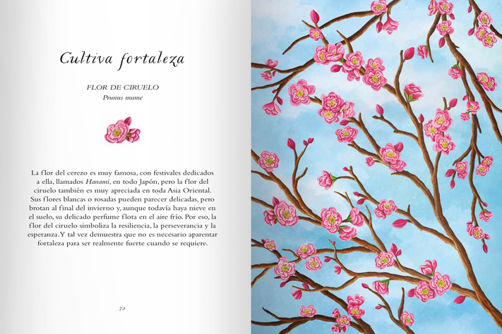 Libro LA SABIDURÍA DE LAS FLORES-3