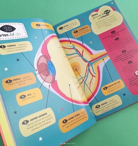 Libro El Gran Libro De Listas Curiosas Del Cuerpo Humano-2