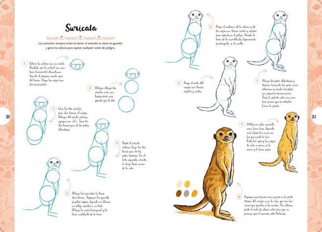 Libro Dibujar en 10 pasos: Animales Adorables-1