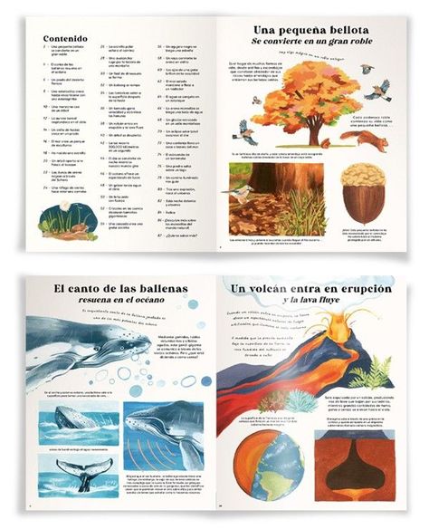 Libro DE BELLOTA A ROBLE-1