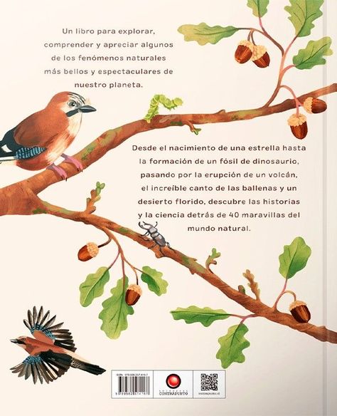 Libro DE BELLOTA A ROBLE-2