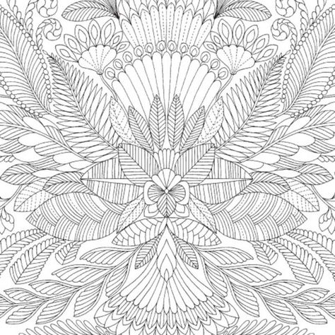 Libro para colorear - MARAVILLOSO MUNDO TROPICAL-1