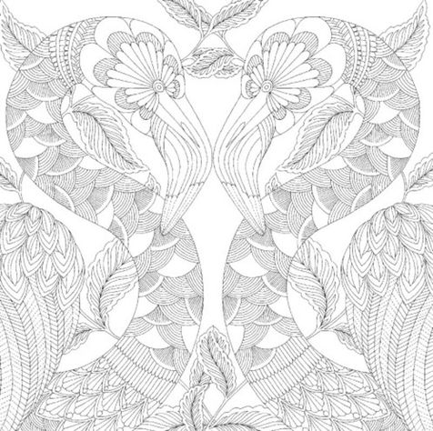 Libro para colorear - MARAVILLOSO MUNDO TROPICAL-2