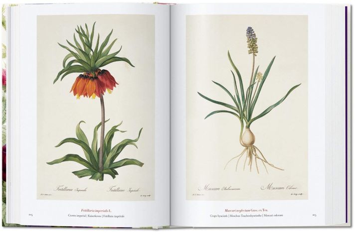 Libro 40 - Redoute. El Libro De Las Flores-1