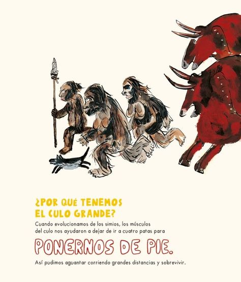 Libro EL LIBRO DE LOS TRASEROS-3