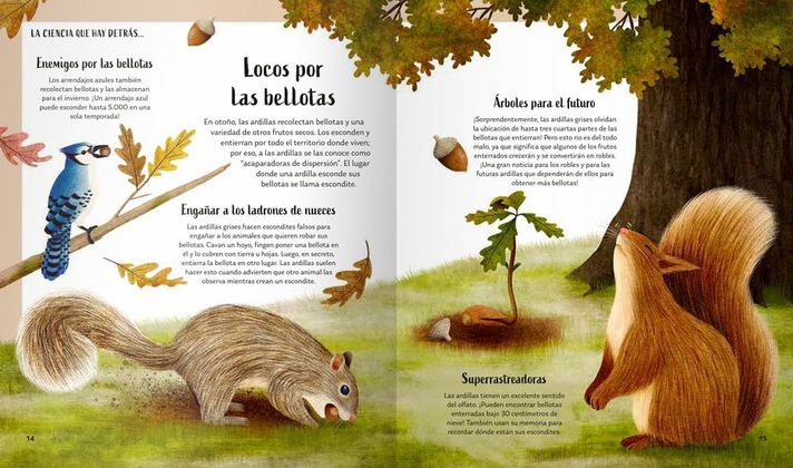 Libro Secretos del Bosque-2