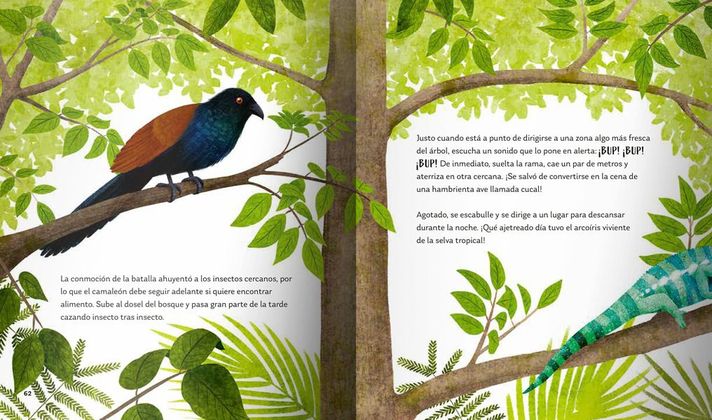Libro Secretos del Bosque-4