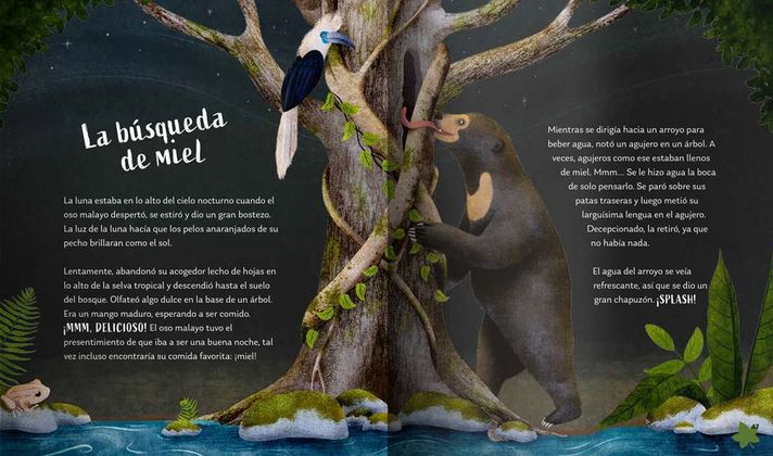 Libro Secretos del Bosque-5