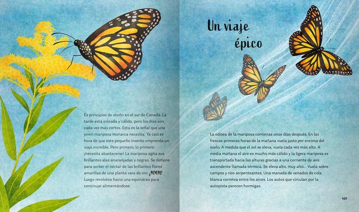 Libro Secretos del Bosque-6