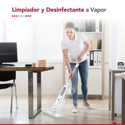 Limpiador y desinfectante a Vapor Thor Eco Steam-3