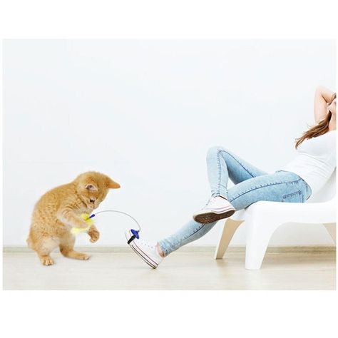 Juguete Telescopico Interactivo Para Mascotas Gatos-5
