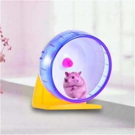 Rueda Para Hamsters Para Correr Y Jugar Spinner Silencioso-1