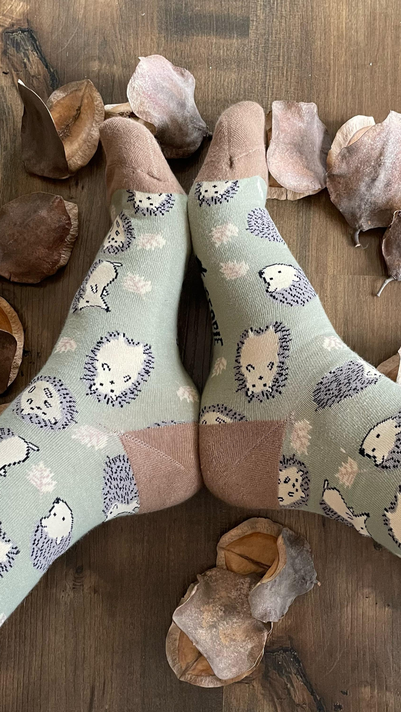 Calcetines Con Diseño Erizo De Tierra-1