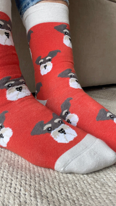 Calcetines Con Diseño Perro Schnauzer-1