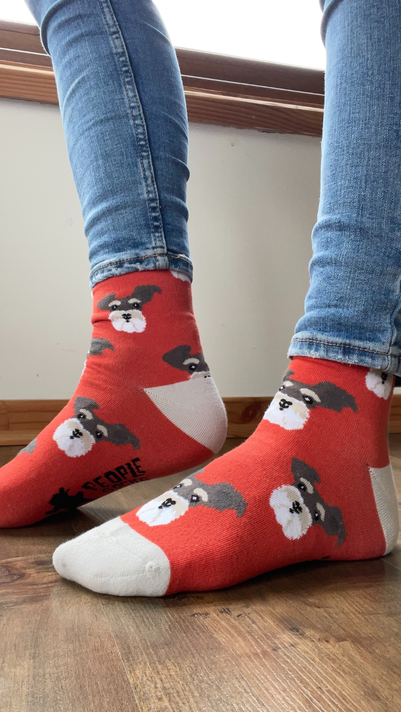 Calcetines Con Diseño Perro Schnauzer-3