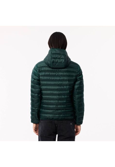 Parka Hombre Lacoste BH2909-1