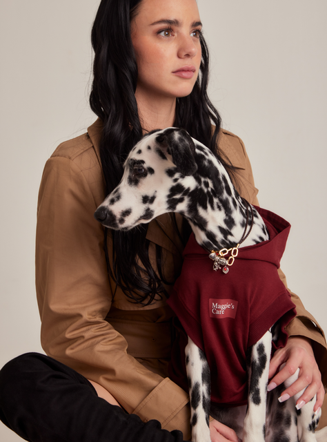 Charm Perro-2