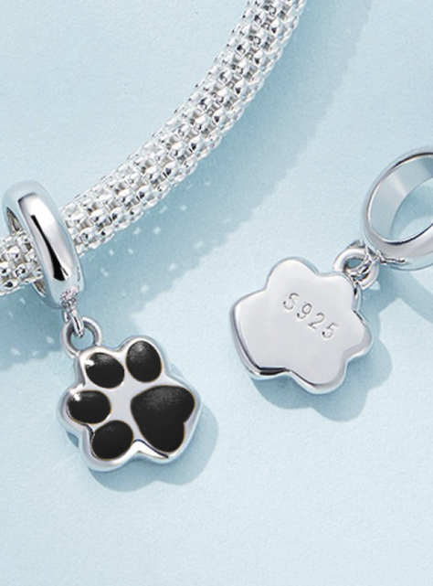 Charm Patita-1