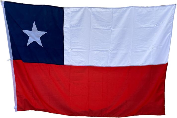 Bandera de Chile 140x210 cm Estrella Bordada Tela Reforzada Repelente al Agua -0