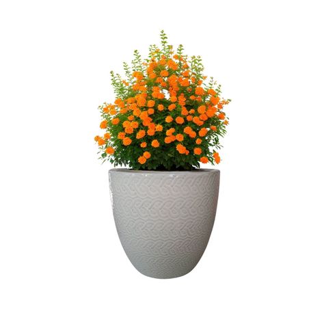 Maceta Woolly 23cm Blanca Arena Deroma-1