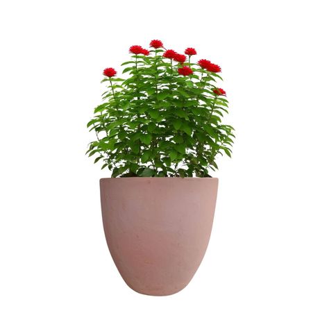 Maceta Dulce 23cm Terracota Ovalada Deroma-1