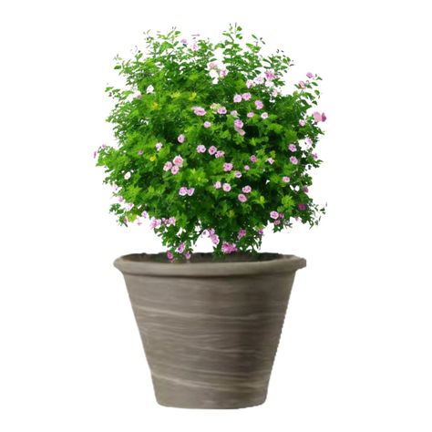 Maceta Vasum 31cm GrafitoDuo Deroma-1
