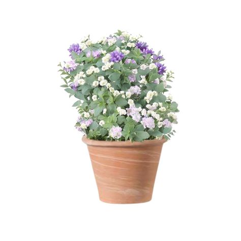Maceta Vasum 25cm TerraDuo Deroma-1