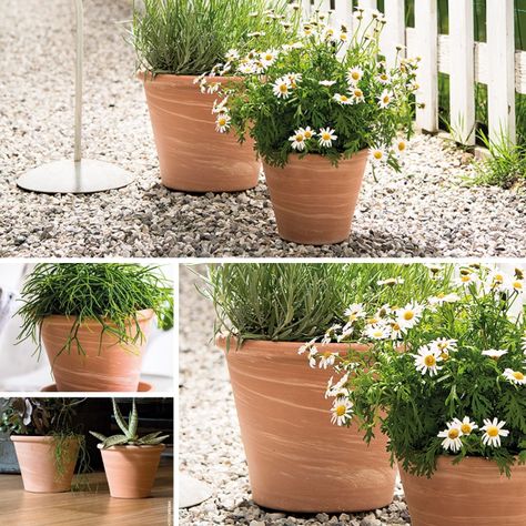 Maceta Vasum 25cm TerraDuo Deroma-3