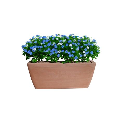Jardinera Rectangular GARDA 32cm Terrarcilla Deroma-0