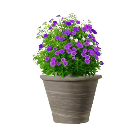 Maceta Vasum 21cm GrafitoDuo Deroma-1