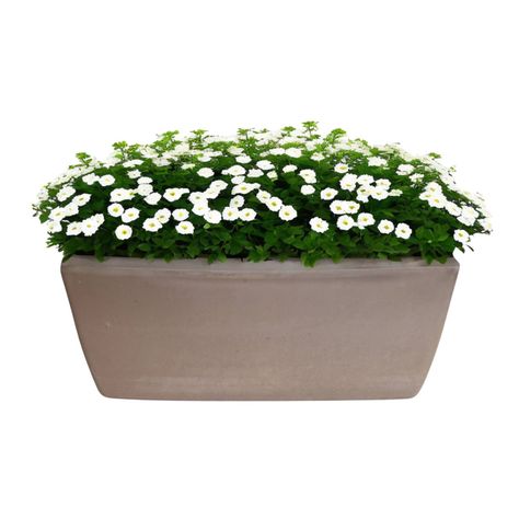 Jardinera Rectangular GARDA 42cm Grafite Deroma-0