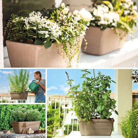 Jardinera Rectangular GARDA 42cm Grafite Deroma-3
