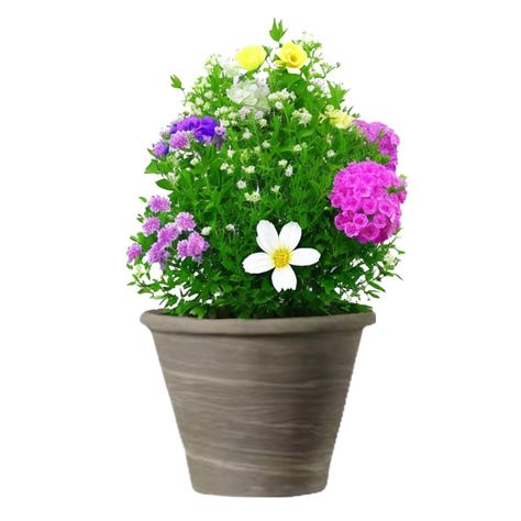 Maceta Vasum 25cm GrafitoDuo Deroma-1