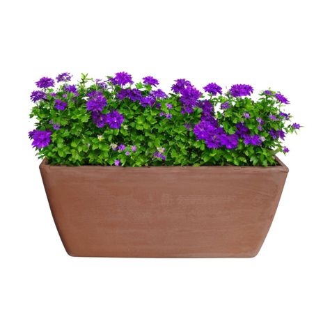 Jardinera Rectangular GARDA 42cm Terrarcilla Deroma-0