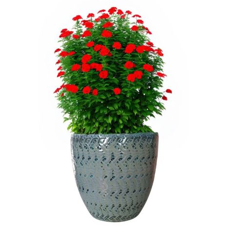 Maceta Woolly 36cm Verde Costa Deroma-1