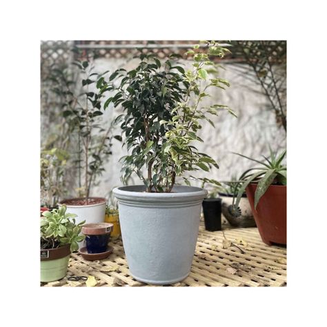Macetero Rotomoldeado KIRI36 Gris (36cmx40cm)-1