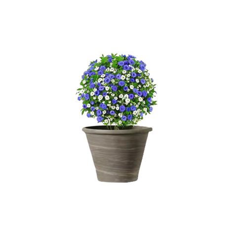 Maceta Vasum 17cm GrafitoDuo Deroma-1
